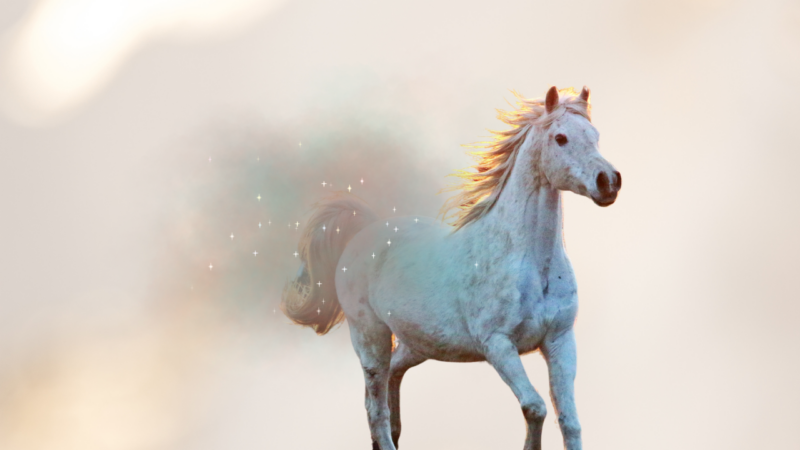 dreamy horse white