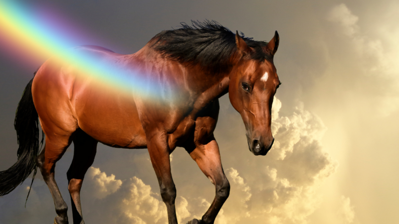 rainbow horse